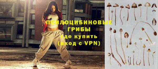 MDMA Premium VHQ Карпинск