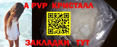 хмурый Сланцы