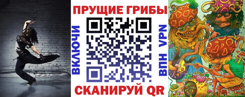 Псилоцибиновые грибы ЛСД  закладка  ОМГ ОМГ ссылка  Стерлитамак 