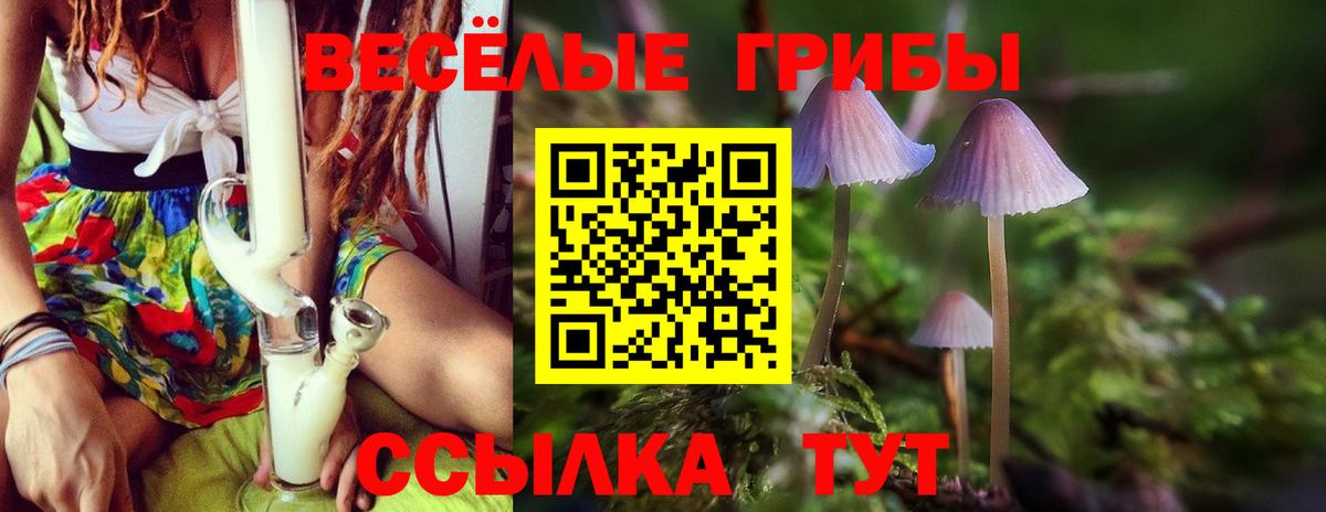 Стерлитамак  наркотики  Галлюциногенные грибы Cubensis  Вход с VPN  Псилоцибиновые грибы Cubensis 